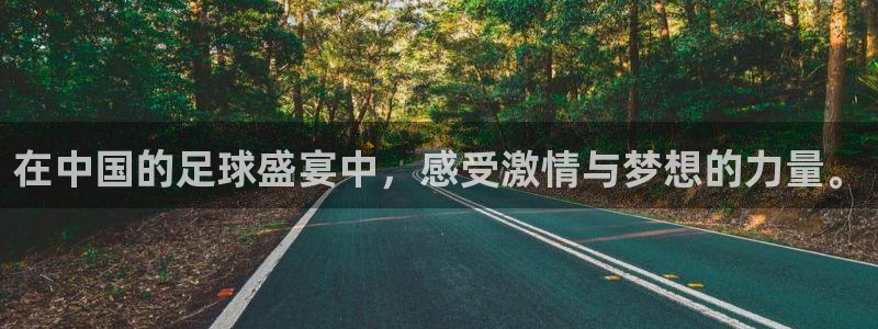 世界杯欧洲区赛程：在中国的足球盛宴中，感受激情与梦想的力量。