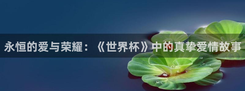 男足世界杯预选赛赛程：永恒的爱与荣耀：《世界杯》中的真挚爱情故事