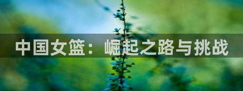 今年的世界杯：中国女篮：崛起之路与挑战
