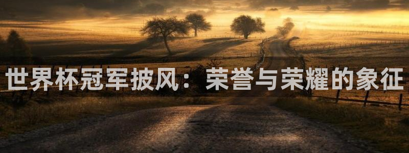 世界杯亚洲区预选赛积分榜：世界杯冠军披风：荣誉与荣耀的象征
