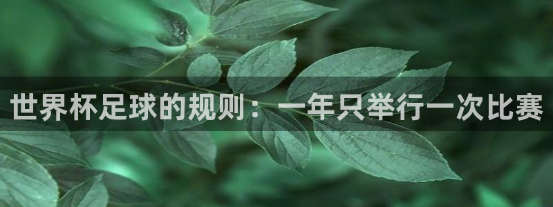 世界直播：世界杯足球的规则：一年只举行一次比赛