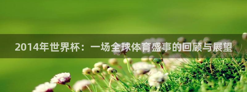 2026世界杯欧洲预选赛赛程表：2014年世界杯：一场全球体育盛事的回顾与展望