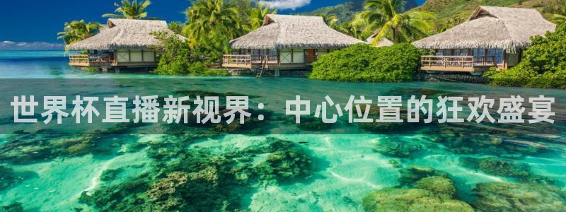 2026葡萄牙杯赛程表：世界杯直播新视界：中心位置的狂欢盛宴