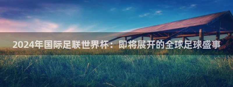 亚洲杯足球：2024年国际足联世界杯：即将展开的全球足球盛事
