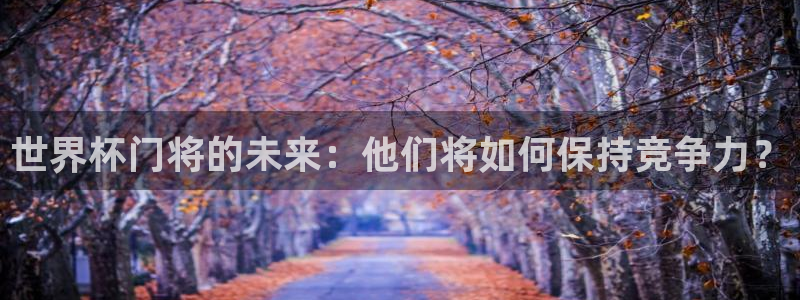 2026世界杯足球赛程时间表：世界杯门将的未来：他们将如何保持竞争力？