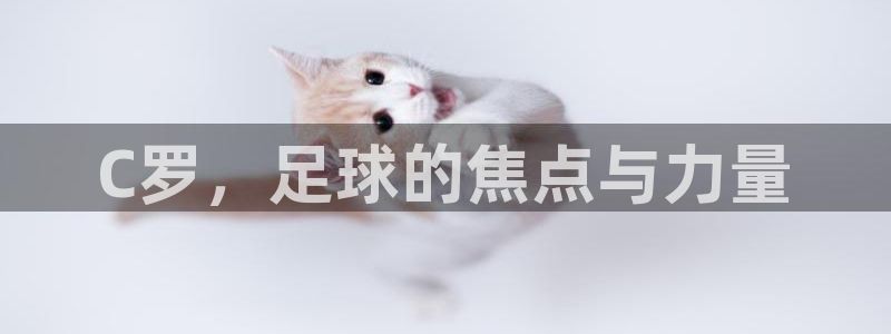 2026年世界杯直播平台：C罗，足球的焦点与力量