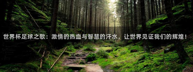 世界杯预选赛亚洲区赛程：世界杯足球之歌：激情的热血与智慧的汗水，让世界见证我们的辉煌！