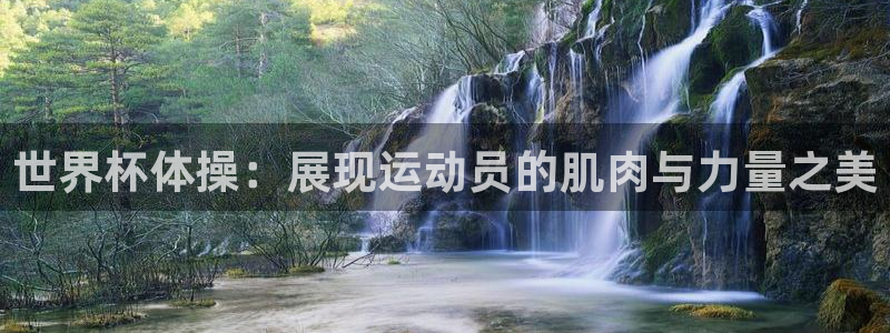世界杯预选赛规则：世界杯体操：展现运动员的肌肉与力量之美