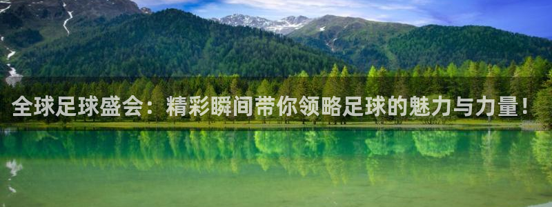 世界杯直播高清：全球足球盛会：精彩瞬间带你领略足球的魅力与力量！