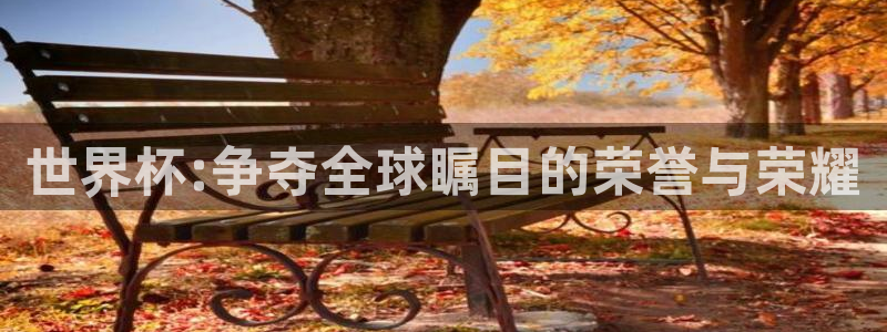 世界杯亚洲预选赛18强赛程：世界杯:争夺全球瞩目的荣誉与荣耀