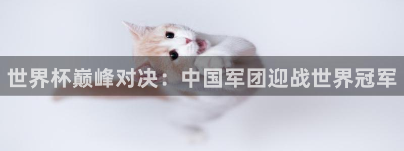 世界杯亚洲区预选赛积分榜：世界杯巅峰对决：中国军团迎战世界冠军
